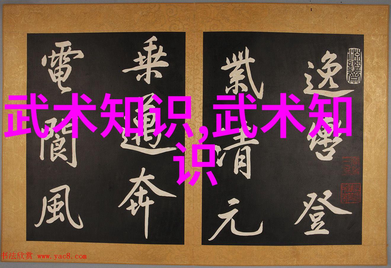 武林秘籍从废墟中寻找的绝世神功