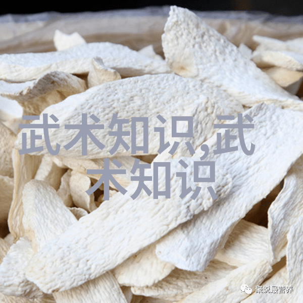 武林门派哪个最厉害合页通背揭秘