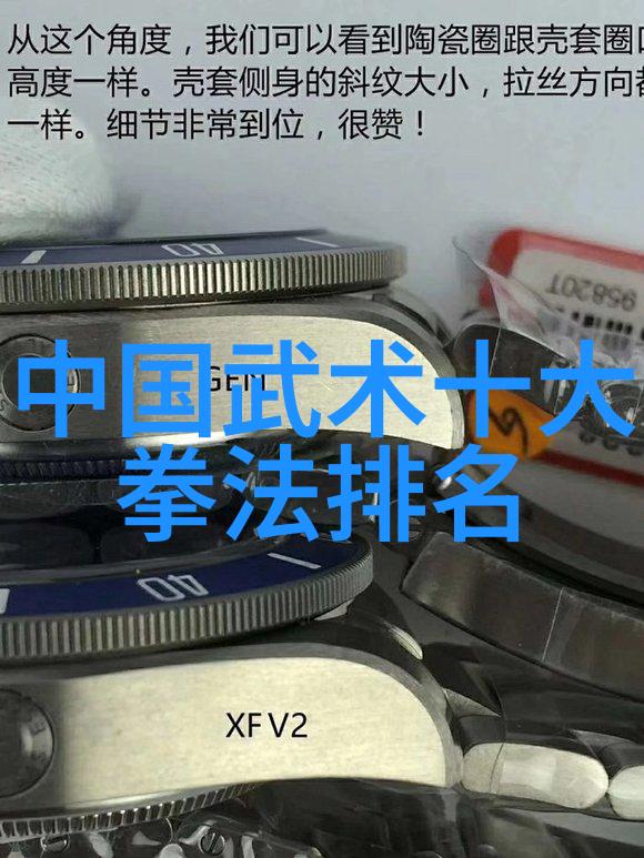 中国武术十大拳法排名究竟哪种拳法更上乘
