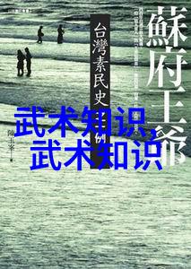 太极功夫秘籍内涵古老中国武术精髓
