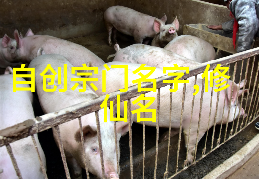 十国千娇我和那些逗比的国王们十国之乱中的嬉戏与欢笑