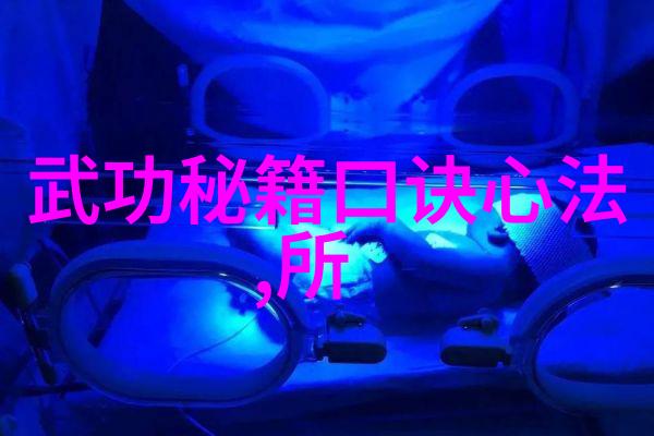 太极拳的精髓揭秘24式动作的魅力与智慧