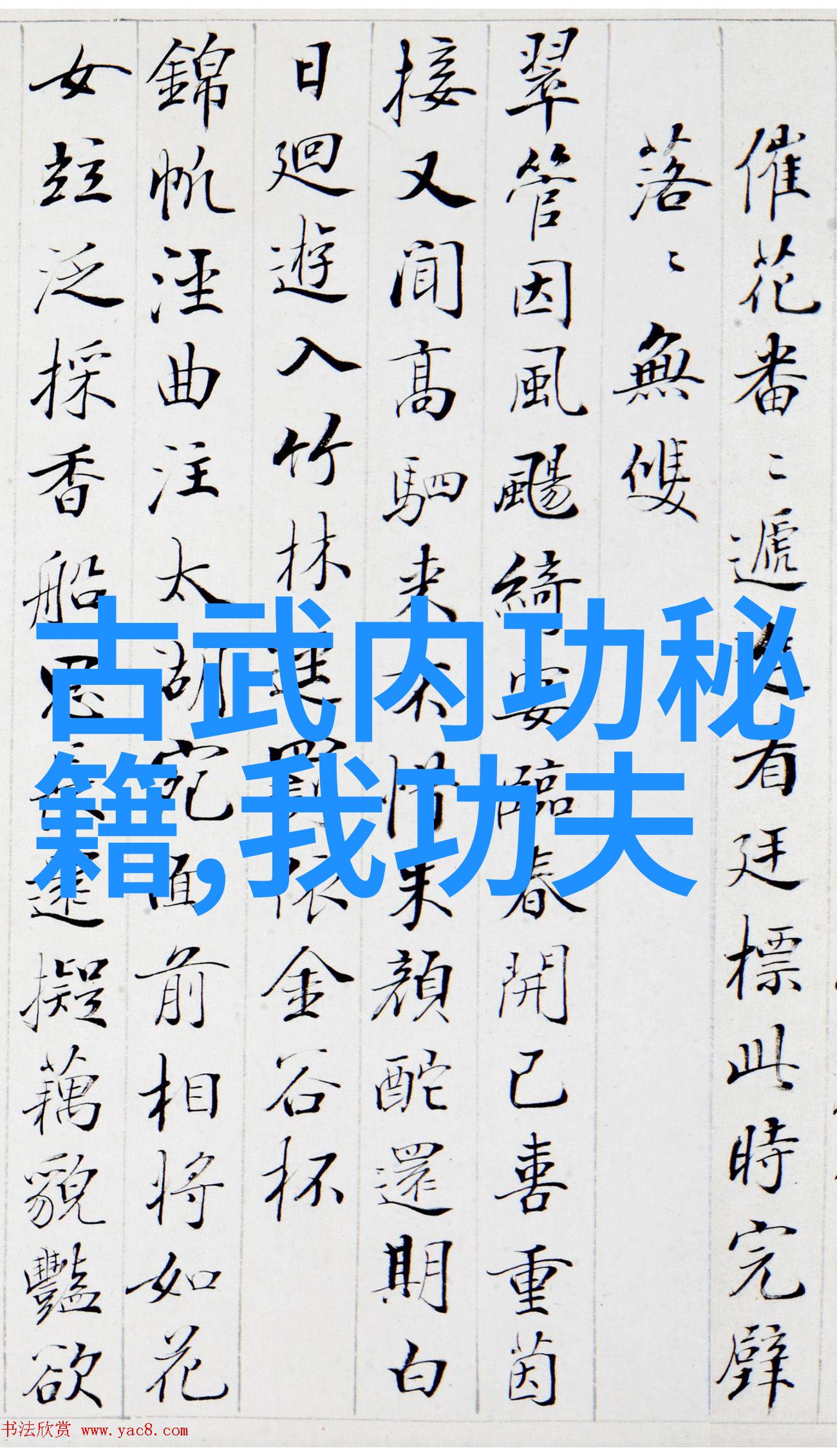 中国武术秘籍书咱们的武林宝典揭秘古老功法