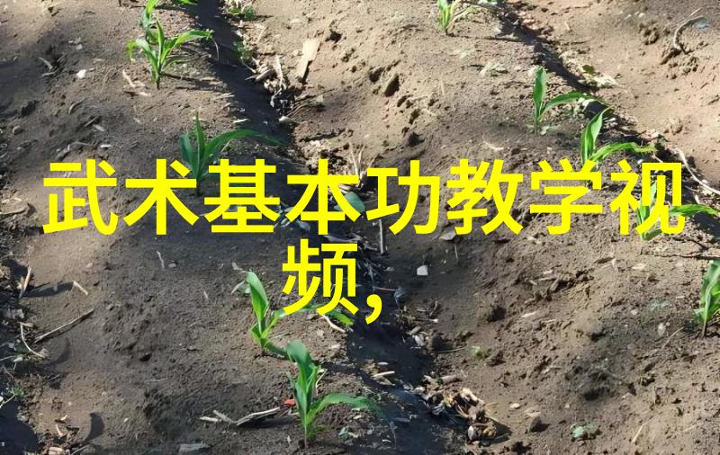 幽灵先锋队探索响亮霸气帮派的秘密任务