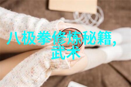 2022年北京市武术太极拳锦标赛盛大启幕展现武术知识的巅峰之战