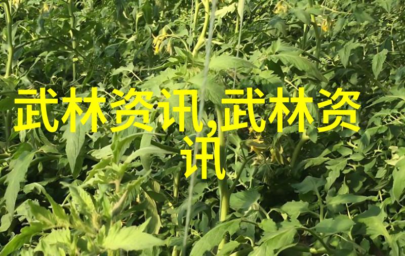 武术活动名称大全揭秘虚实分辨之谜 - 吴文翰 张全亮 赵幼斌