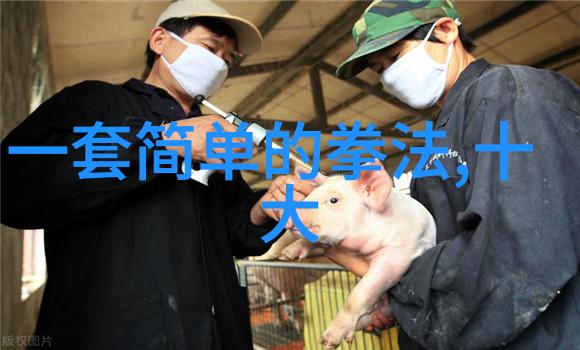 少林最厉害的拳法练拳重在悟其精髓