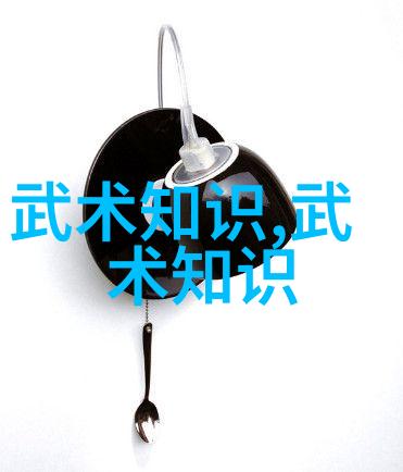经典再现探索二十四式简化太极拳的文化价值与历史演变