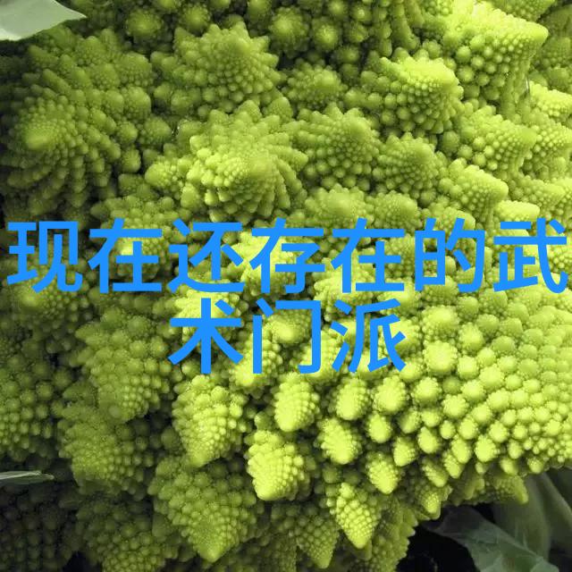 一脉相承一代更替跨越千年的传统家族门派演变史迹