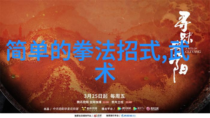 传承古典实践现代四十式太极拳视频教学与口令辅导