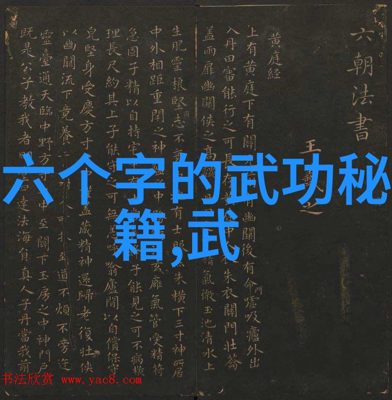 代号零零零零暗影计划中的无声英雄