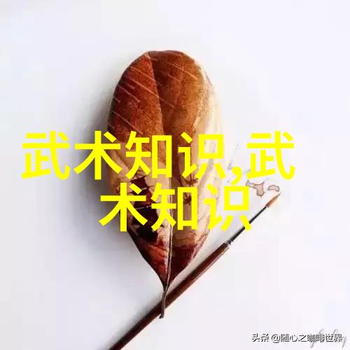 松开的掤劲张志明太极拳24式慢动作解析在社会中的应用