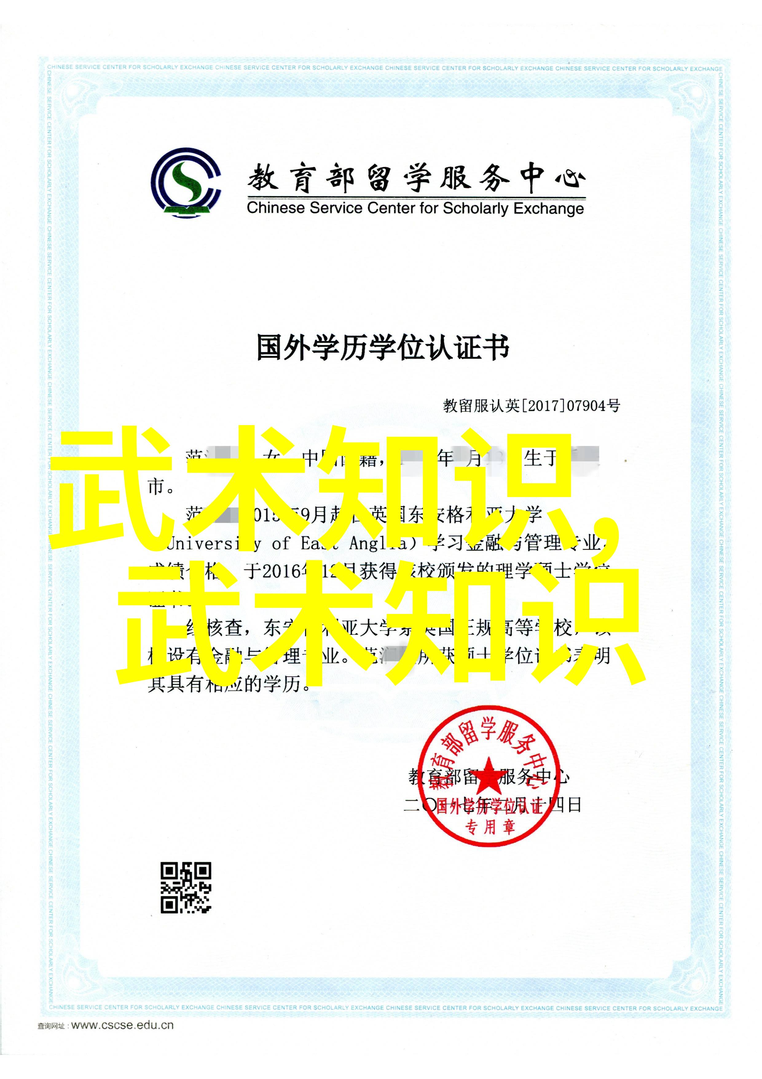 寻找真假英雄揭开中国各种流行武术背后的隐藏规则与技巧