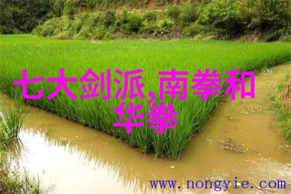 古风剑法名字我想起了那位剑客的故事
