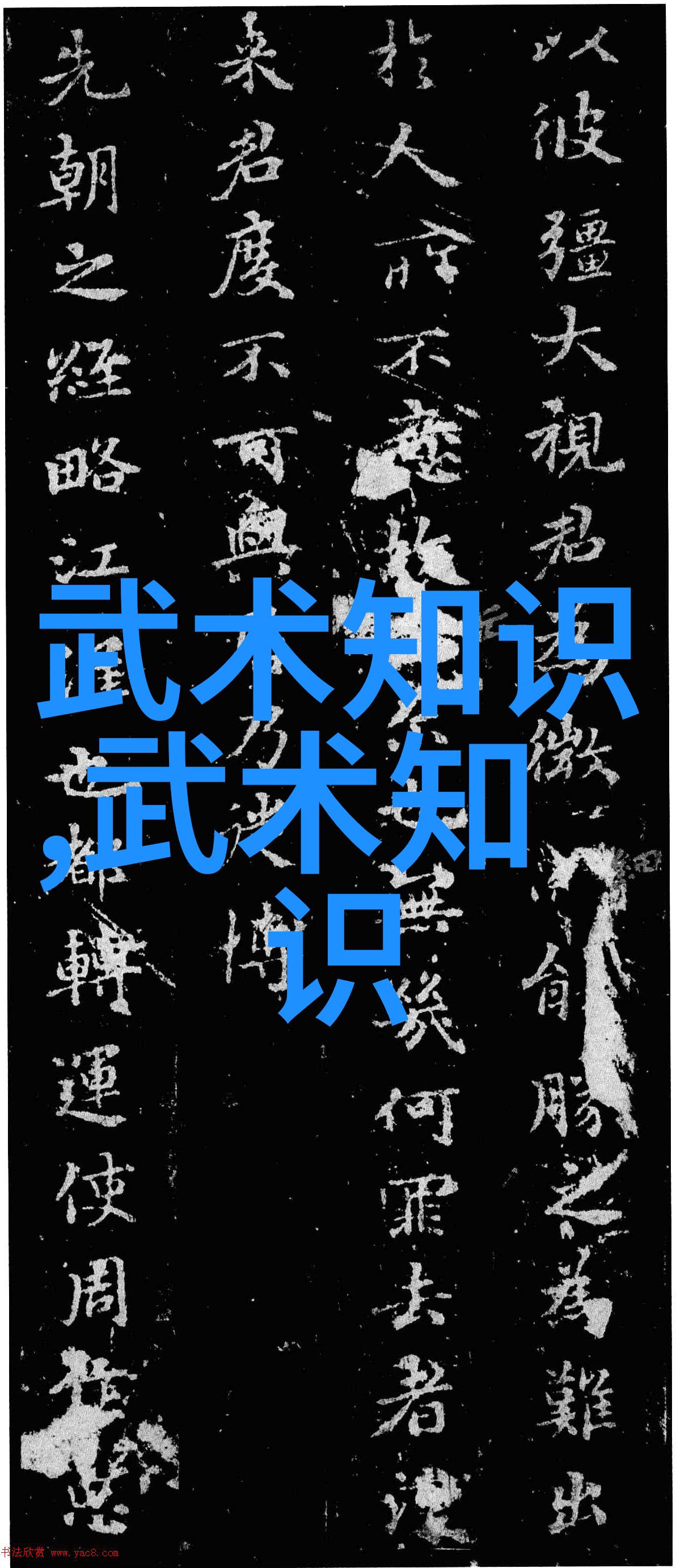 数据驱动武功大全揭秘偏沉则随双重则滞之谜 - 杨志英