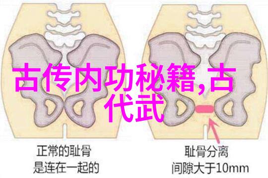 武林之谜门派秘辛与江湖传说