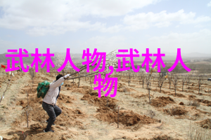 浪漫与武力古风帮会的双重面纱