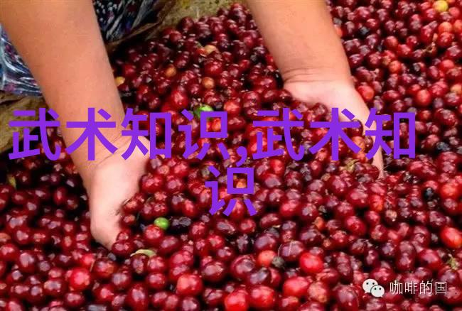 松开的掤劲张志明在武术基本功网站上的社会实践