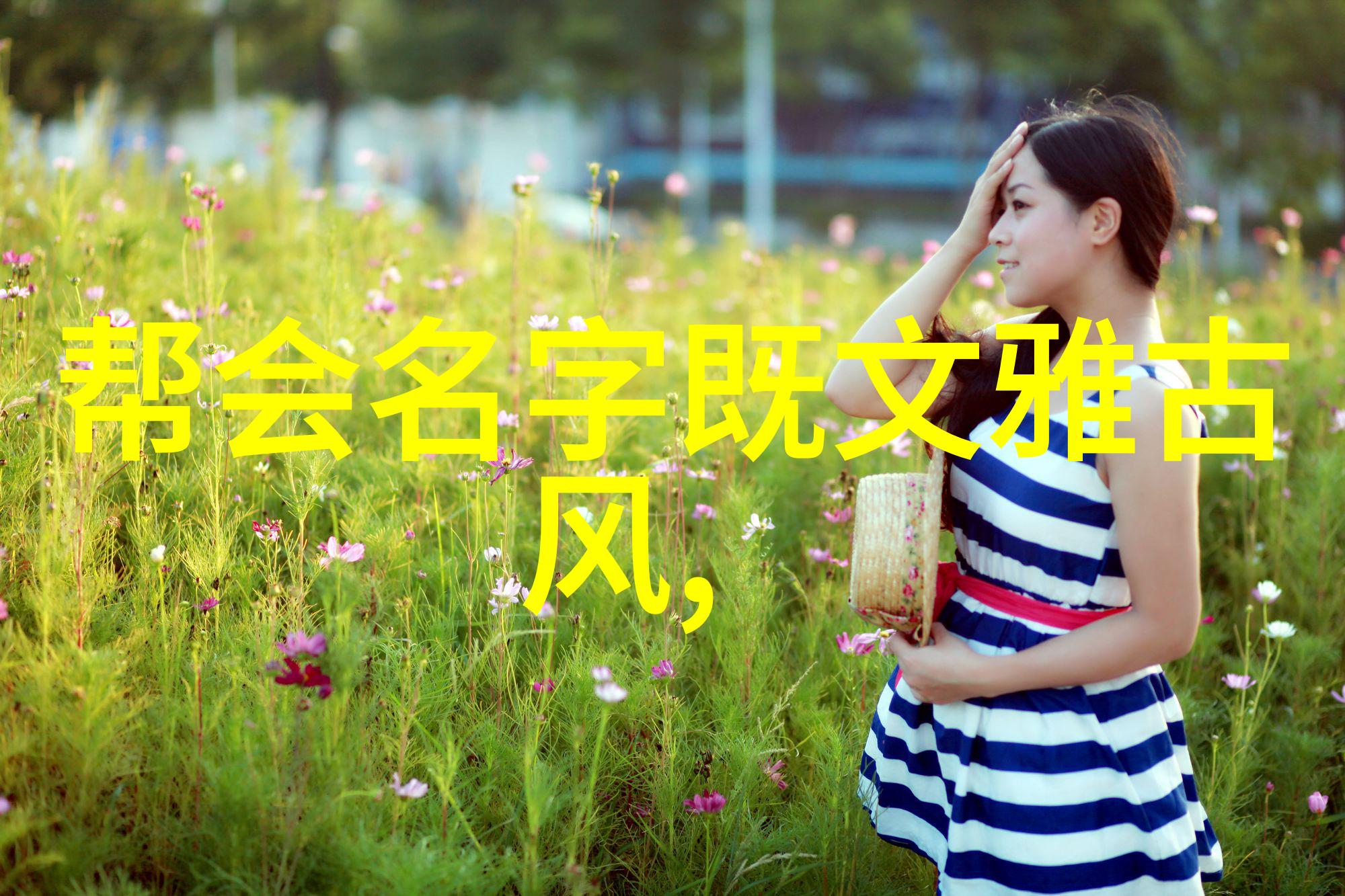 帮派名字大全揭秘黑帮世界的幽默与恐怖