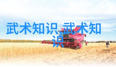 武学通行寻常人士的修炼之道