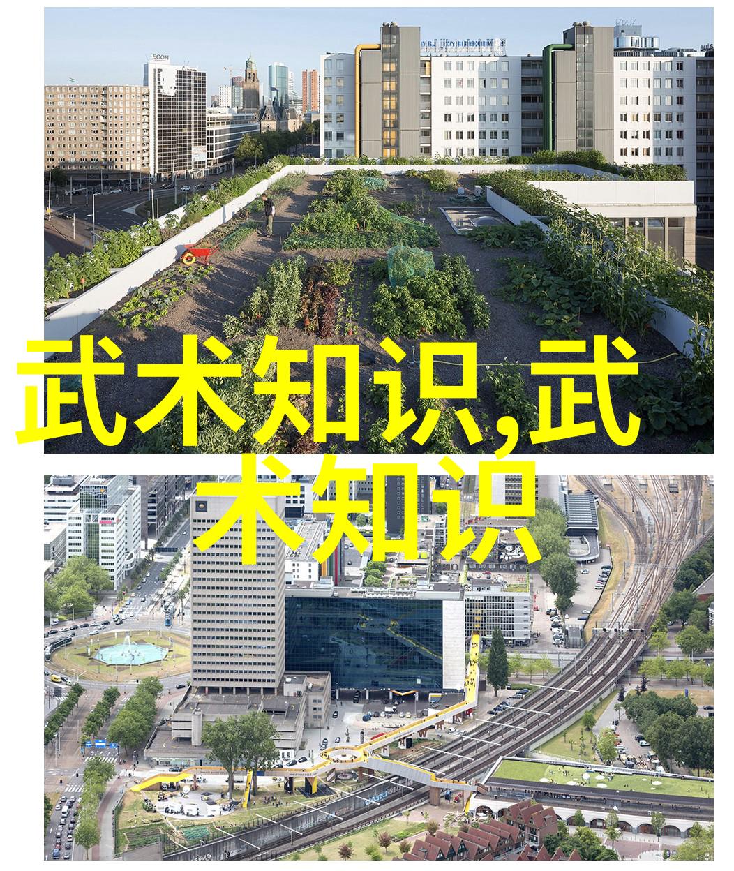 武林秘谱揭秘中国十大武术真相