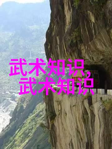 李文奎李艺蕾的太极拳在自然中探索适合自学的武术技巧与内力训练