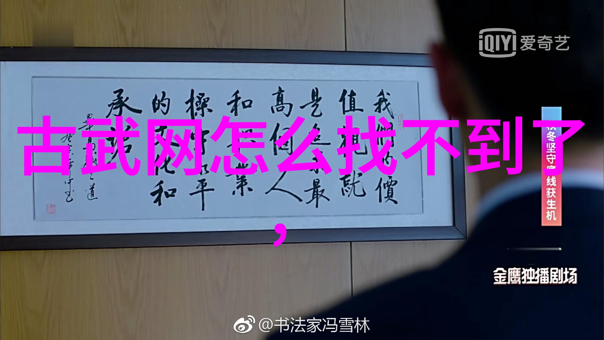 拳法十六招式图解 - 探秘武林绝技一套完整的内功与外功结合拳术系统