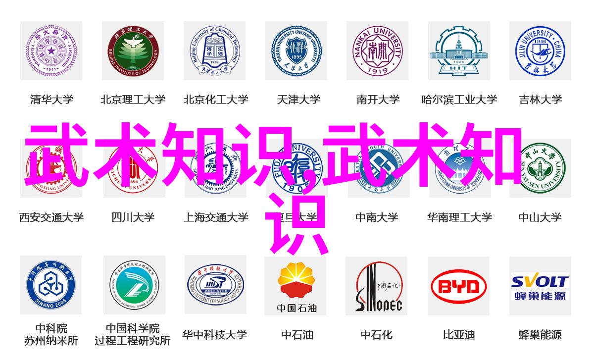 内家拳与外家拳的分类背后隐藏着什么样的文化意义