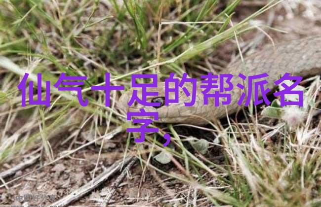 32式太极拳全套动作详解太极拳的精髓与练习方法