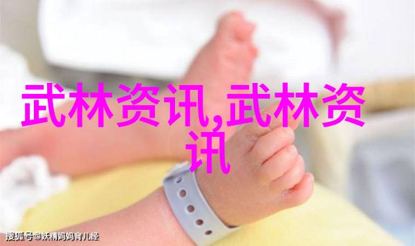 江湖传说王式神拳揭秘中国武术巅峰之作形意拳的奥秘