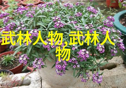 新篇章启航赋能未来工作蓝图