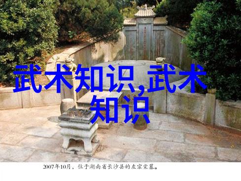幽深山谷的秘密无极拳传说中的智慧之手