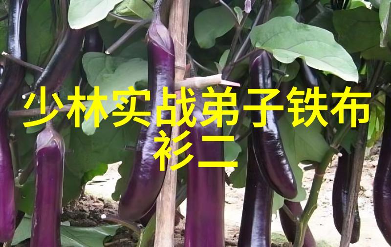 紫微宫宇宙最深处的奥秘藏匿所