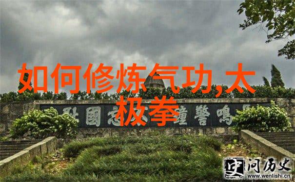 中国功夫门派实战排名反复探究田派太极拳的精髓