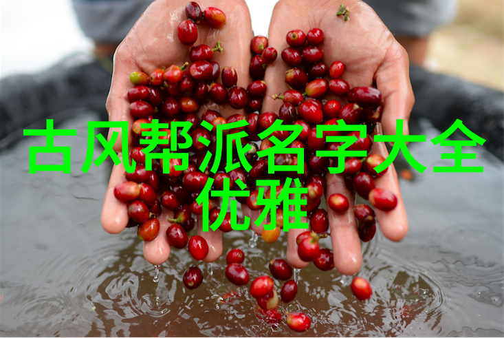 少林最厉害的拳法-金雕翅膀之秘密解锁
