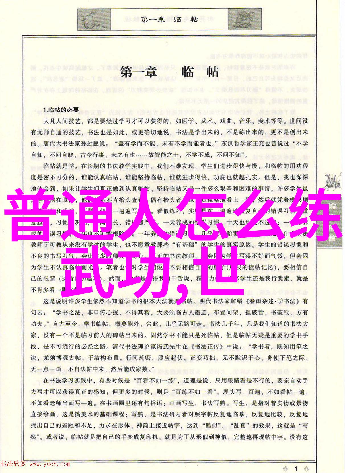 太极拳的套路与拳架像一幅画卷赵艳将其展开为武功自学教学视频