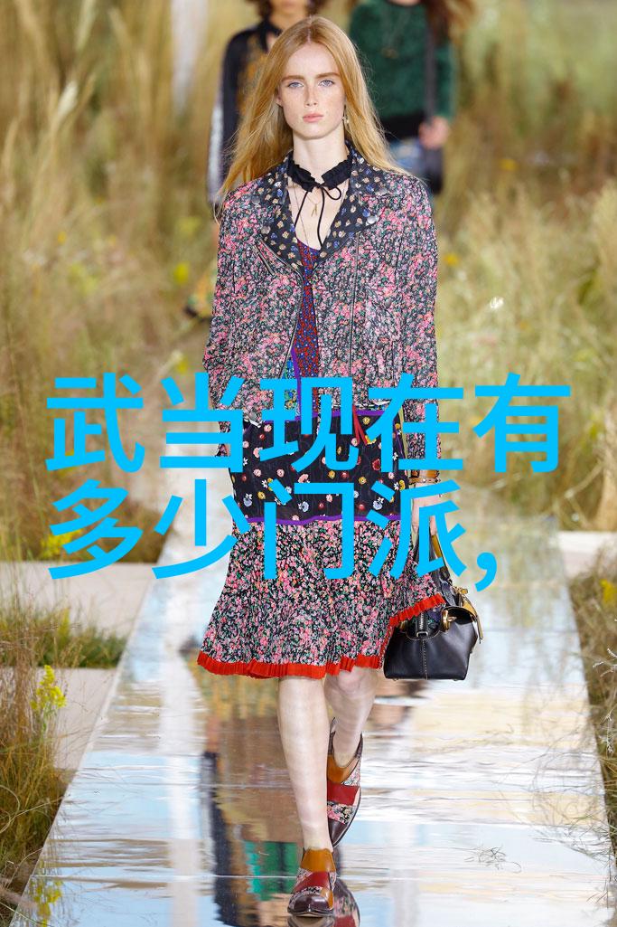 武术教育-李小龙功夫教学视频解析揭秘六和式拳法的精髓