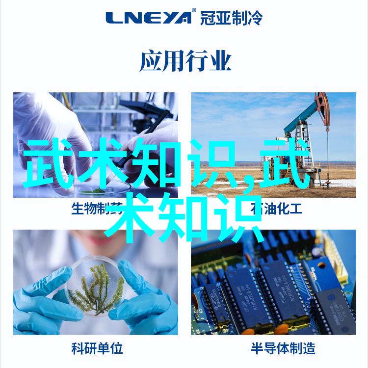 揭秘武道巅峰探索世界上最强武功的奥秘