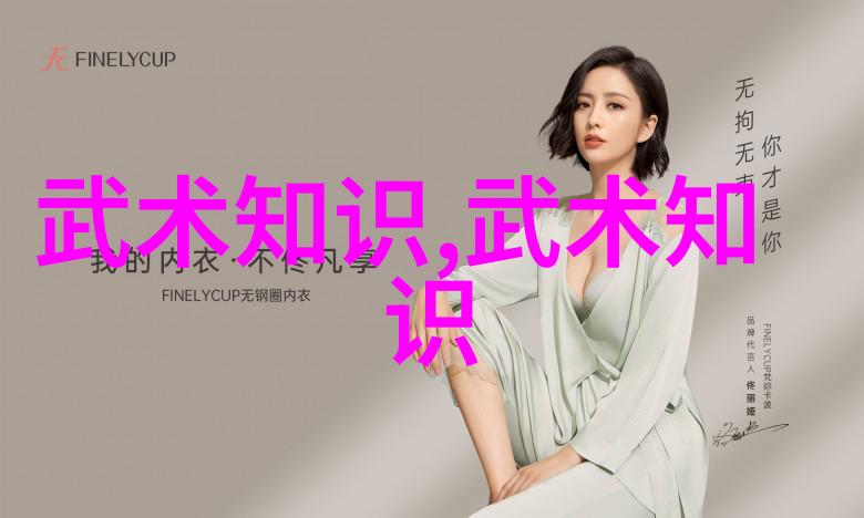 武术基础训练如何通过视频学习提升实战能力