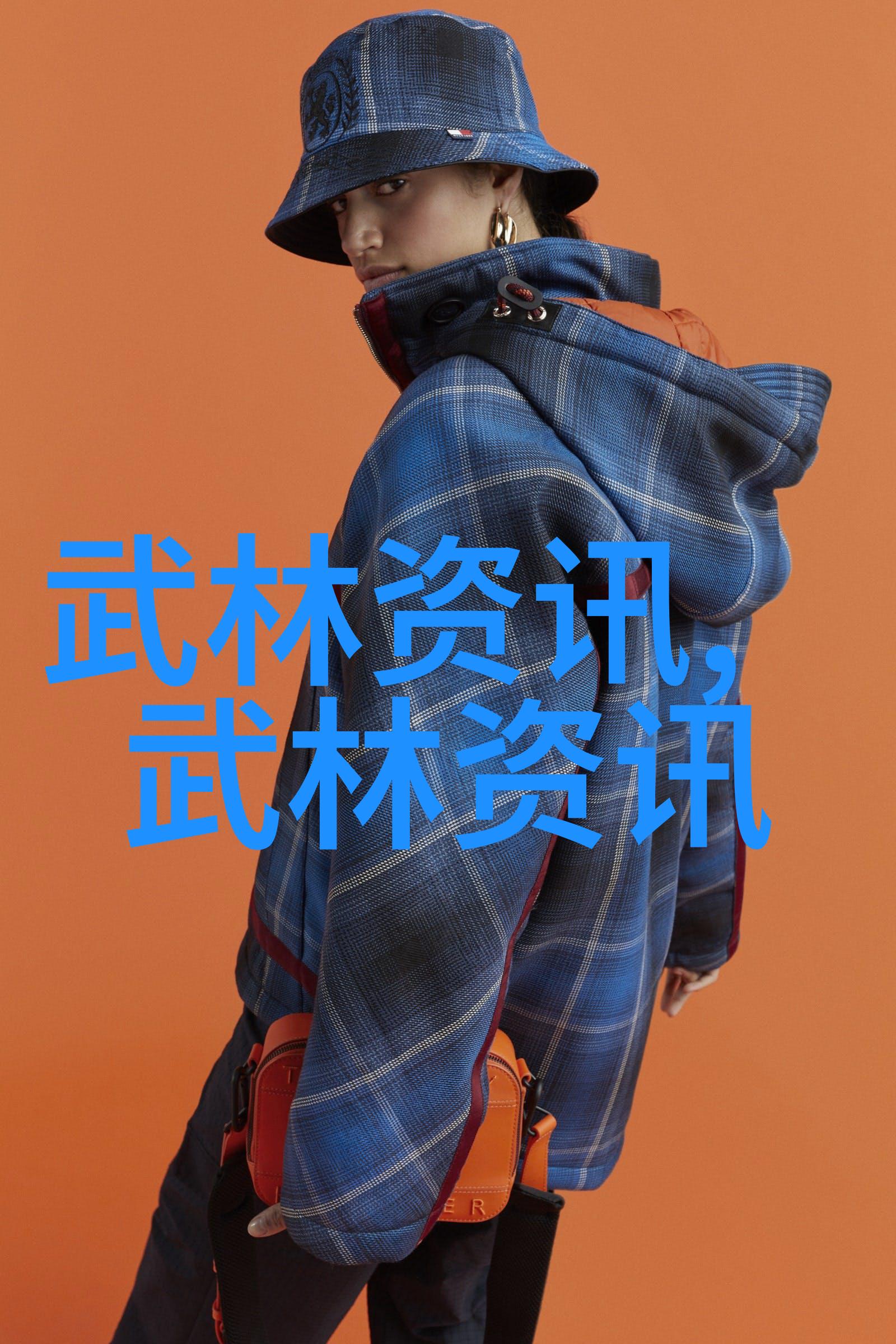 高清小蝌蚪视频免费观看与下载指南