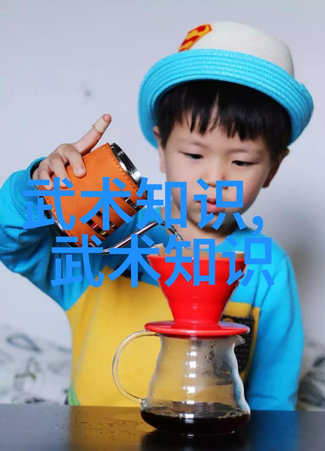 武术体验从入门到精通的训练之路