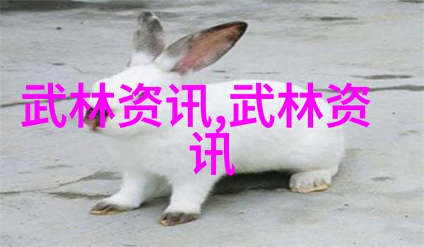 太极拳前脚转动应实脚还是虚脚中国武功练习需谨记每一步的物质基础