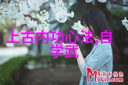 六道神功秘籍内含六种高级武学技巧