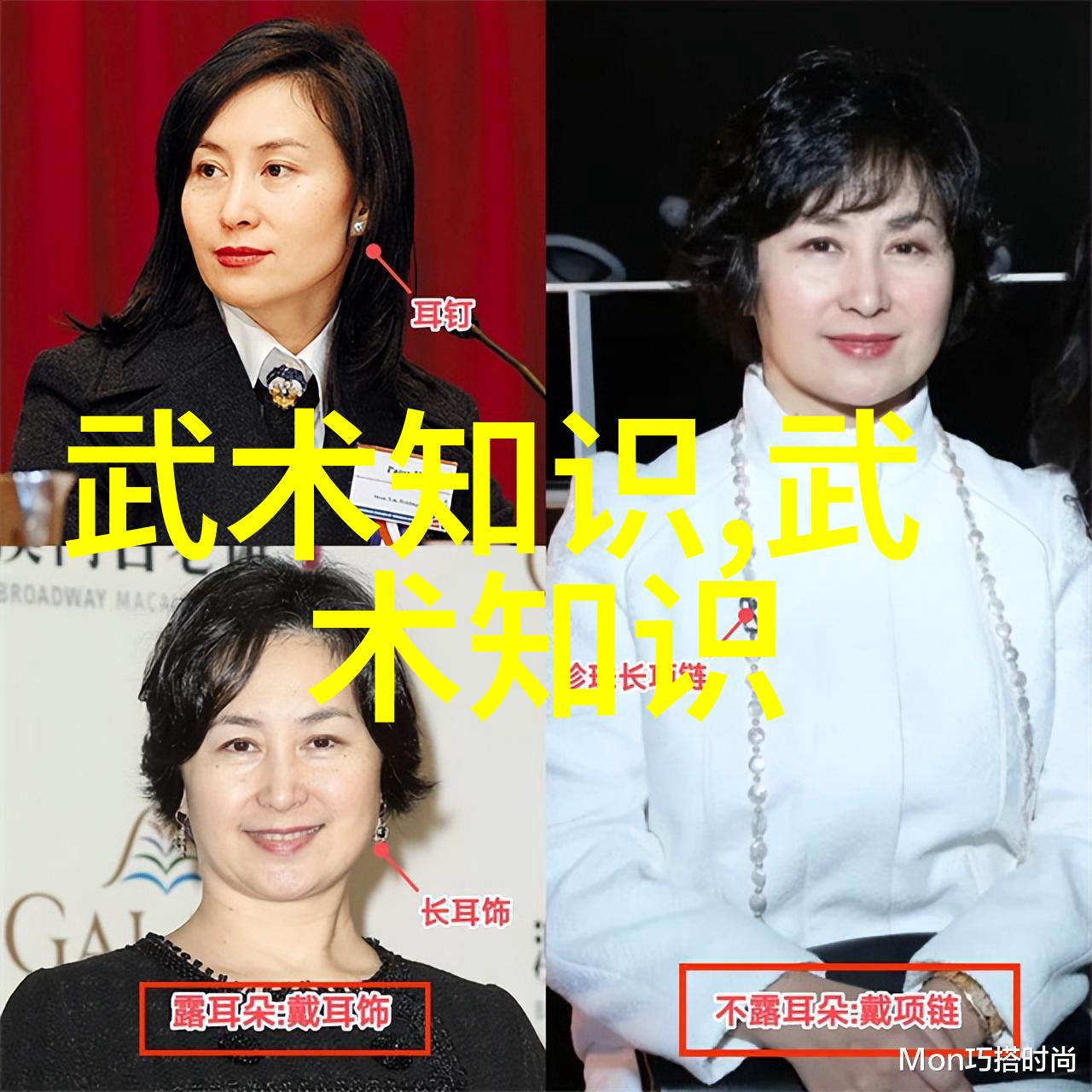 星辰联盟七星螳螂拳术家