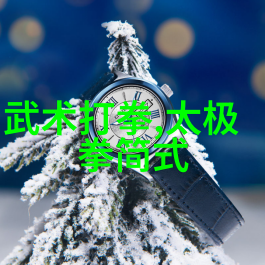 武功秘籍大全 拳法 - 掌握天下之拳武功秘籍大全的精髓
