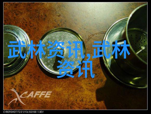 少林武功秘籍大全解锁内家拳法的奥秘