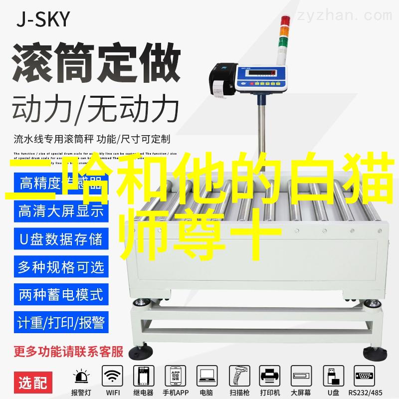 太极拳的意仿佛有生命静谧地在每个动作中运行