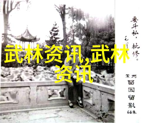 拳法十六招式图解掌握精湛武学技巧的秘密