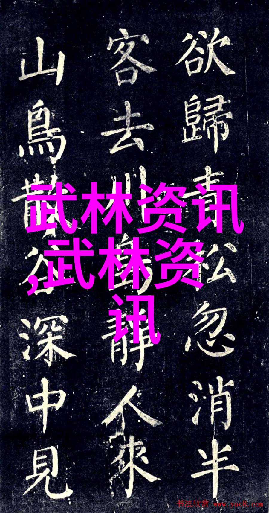 武林绝技功夫大全招式拳法内含独门秘籍与打狗棒法