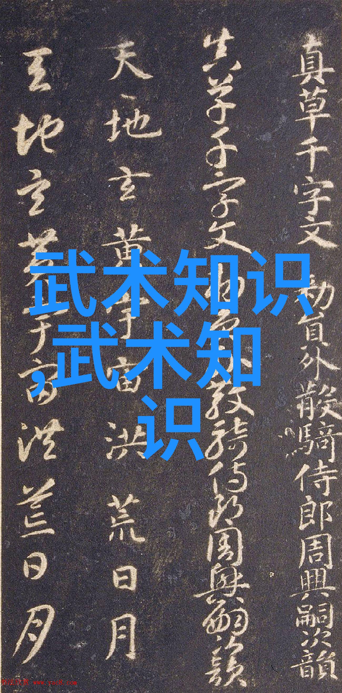 无形剑法之谜揭晓从理论到实际探讨空手剑法的心得体会